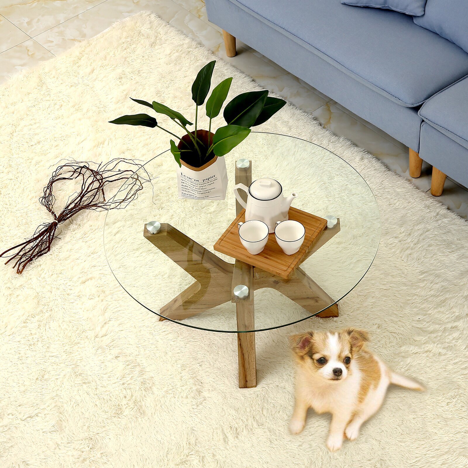 Glass and Natural Oak Coffee Table