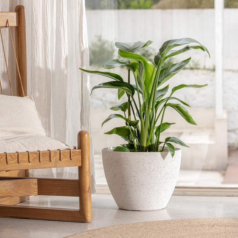 Nova 1-Piece Plastic Pot Planter