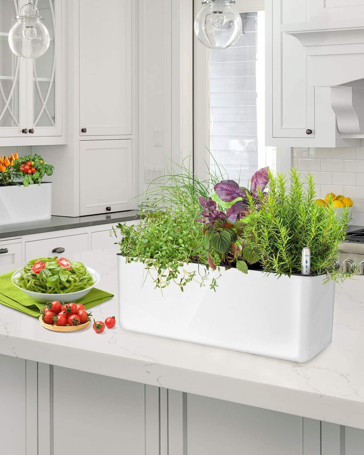 Self Watering Indoor Planter Box 