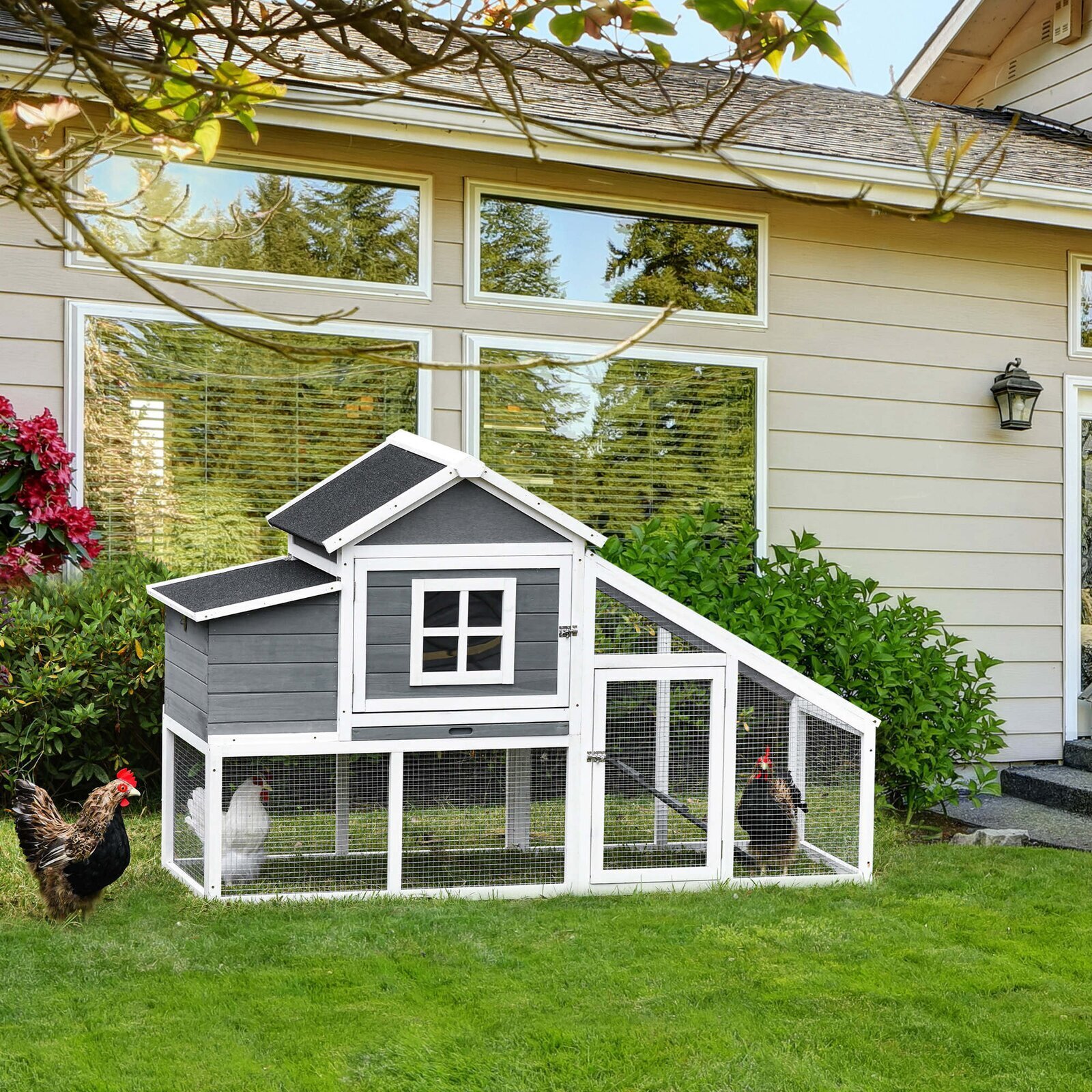 Chicken Cage With Nesting Boxes