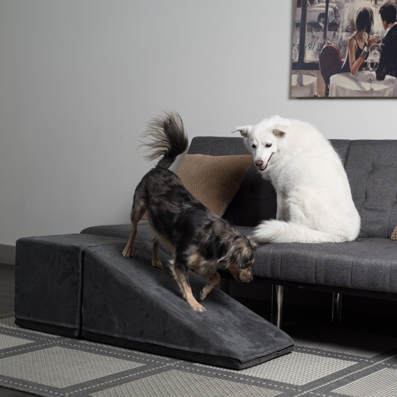 14" Pet Ramp