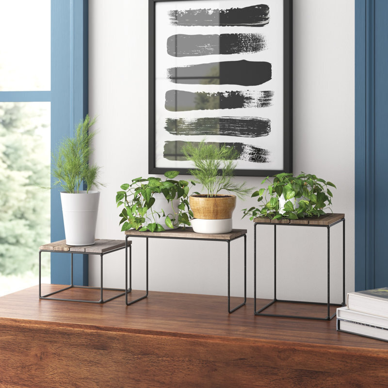 3 piece indoor plant stand set