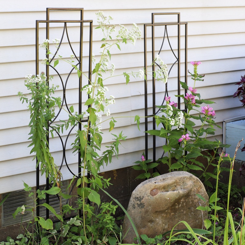 Abellas-Bauzo 48.25'' H x 12'' W Steel Gothic Trellis