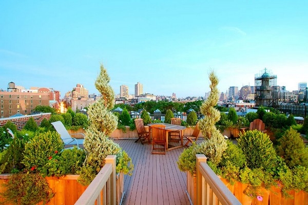 Amazing Urban Garden