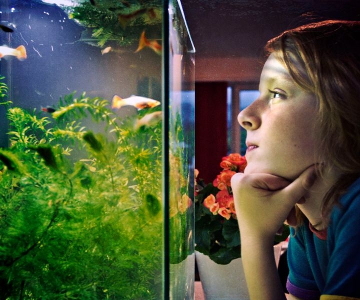 appreciate planted aquarium