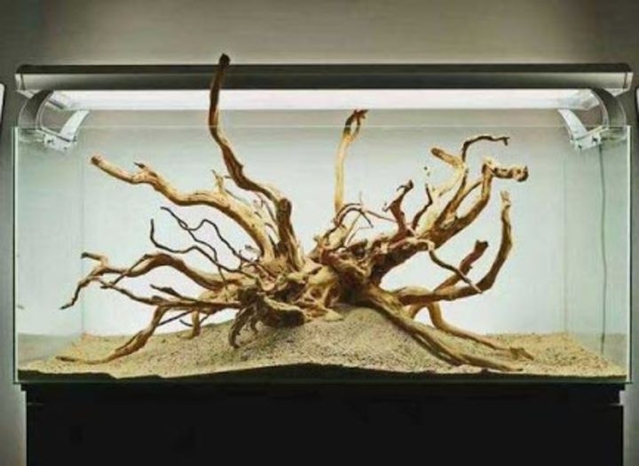 aquascaping driftwood