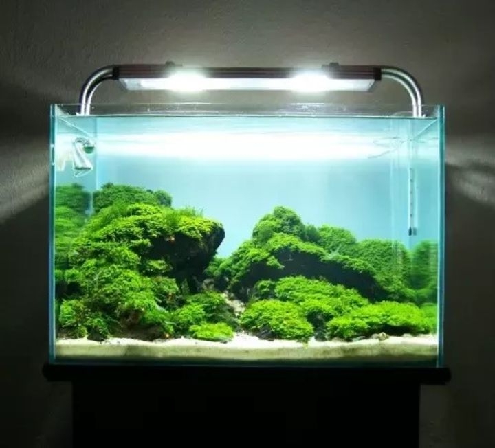 aquascaping lights