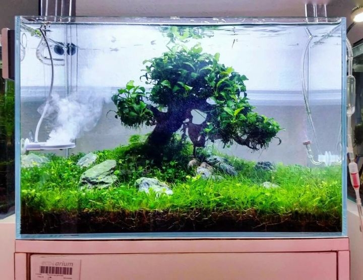 aquascaping tools