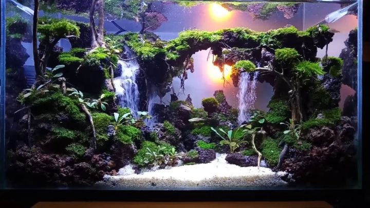 aquascaping waterfall