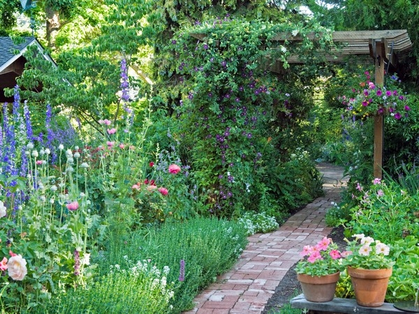 Arbors And Pergolas