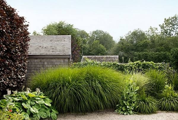 Backyard Ideas On A Budget