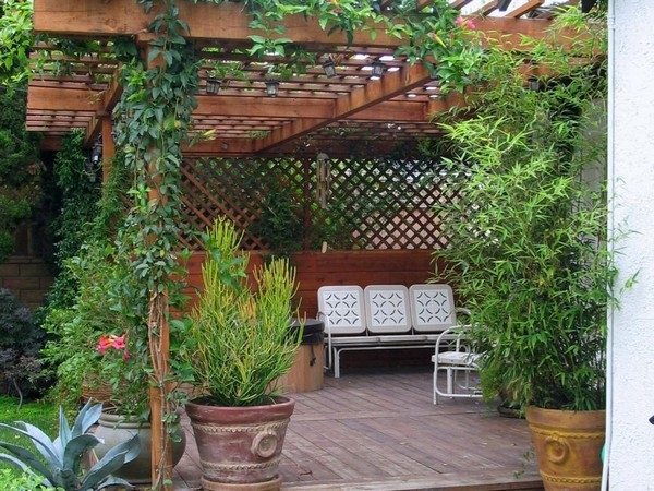 Backyard Patio Ideas