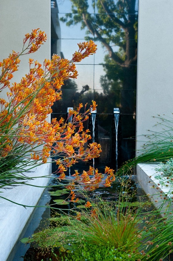 Backyard Water Feature Ideas
