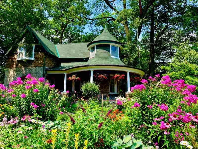 beautiful flower garden