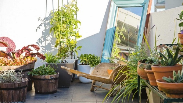 Best Gardening Designs
