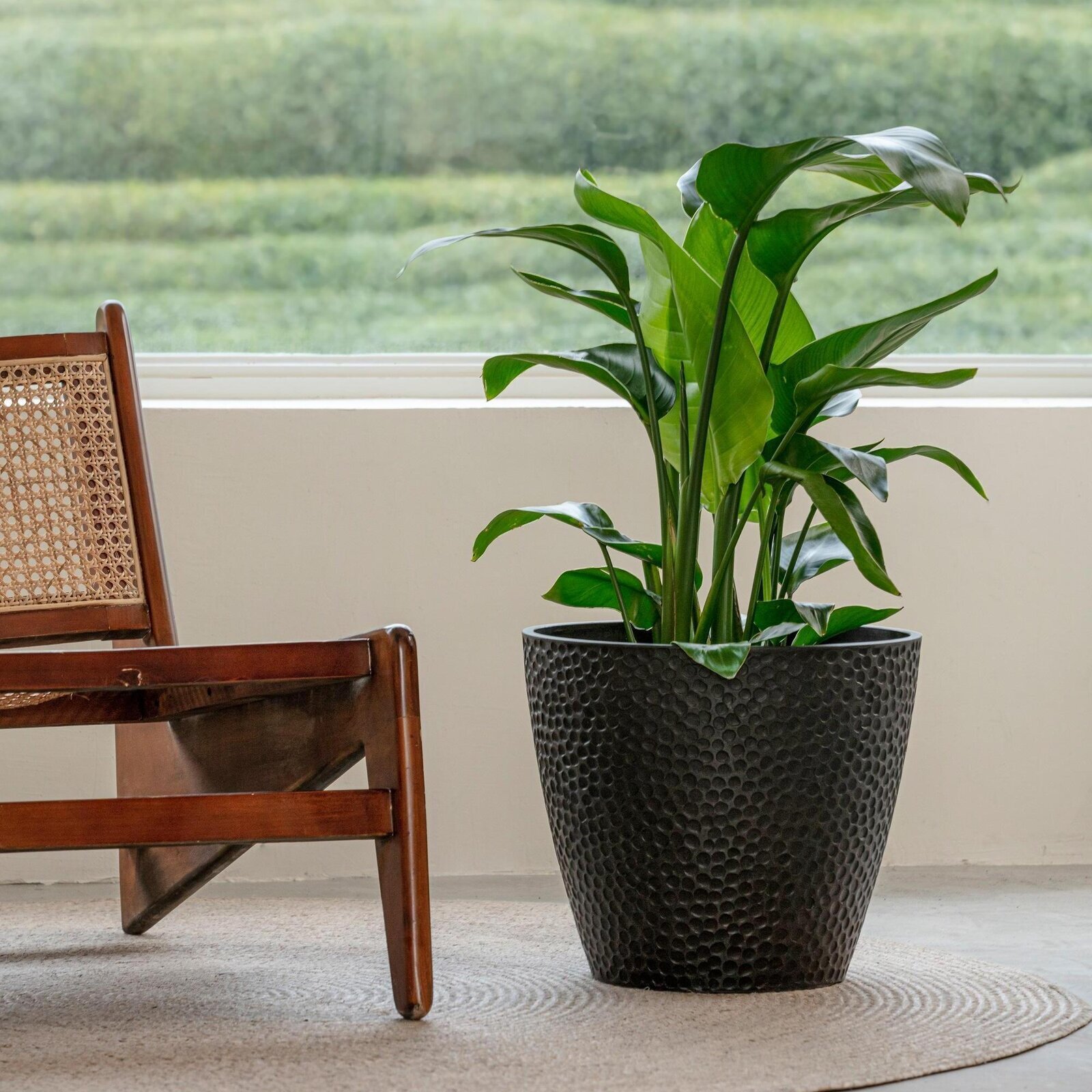 Black Plastic Bee Resin Planter