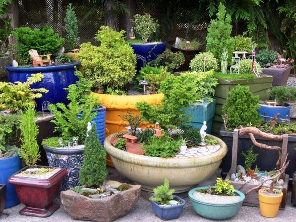 Bonsai Garden