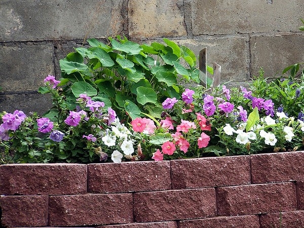 Brick Garden Edging Ideas Melbourne