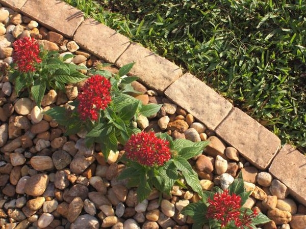 Brick Garden Edging Ideas