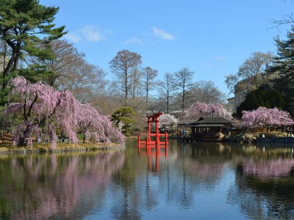Brooklyn Botanic Garden