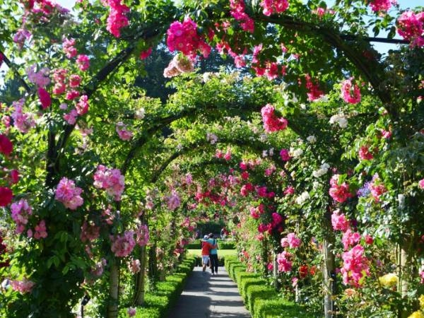 Butchart Gardens