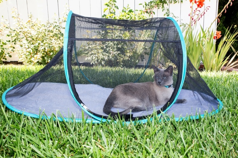 Catio Portable Outdoor Playpen with Door