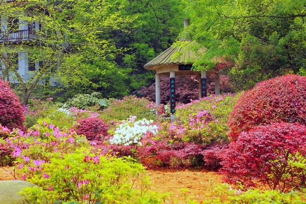Cheap Gazebo