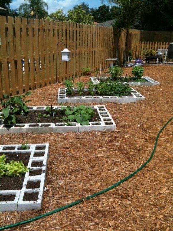Cinder Block Raised Garden Bed