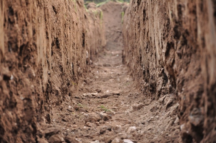 clay soil type