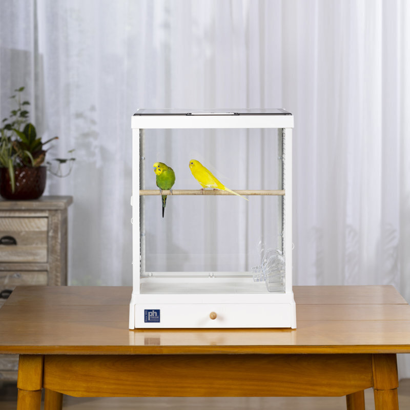 Contemporary Hendryx Bird Cage