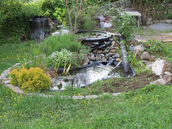 cost effective diy landscaping
