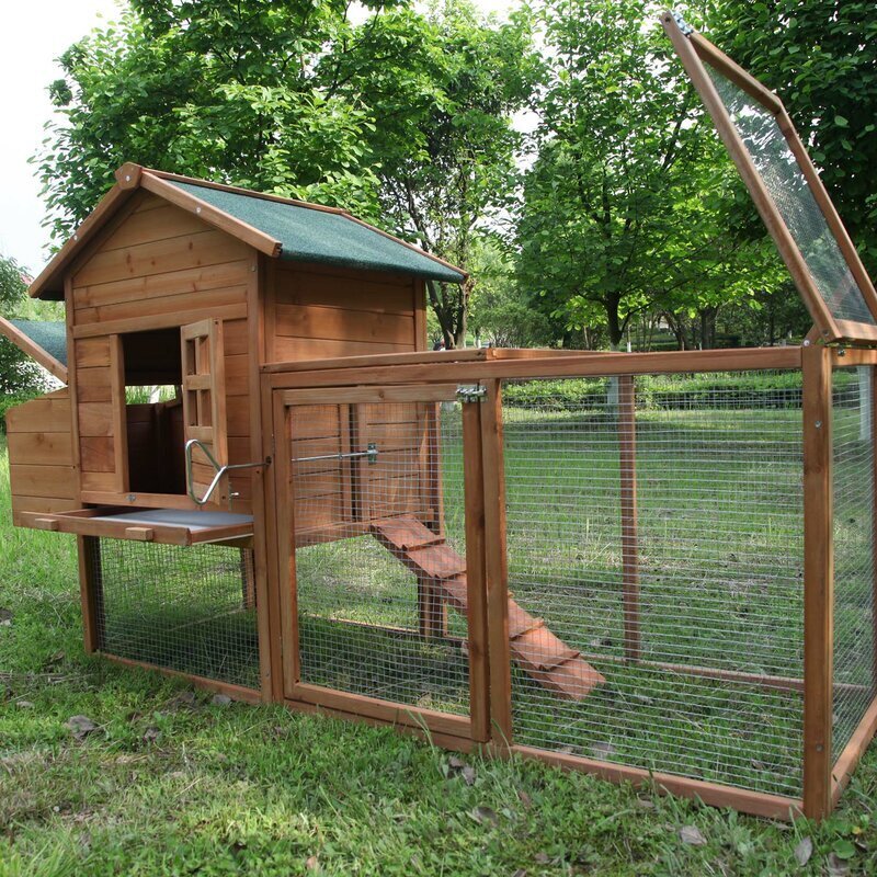 Cottage Style Coop