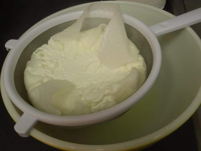 curd skimmer
