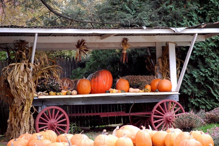 cute market garden farm stand