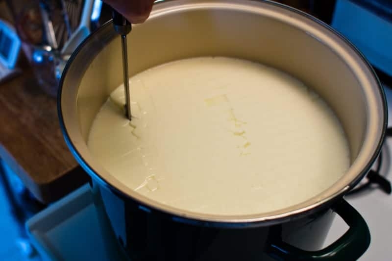 cutting the curds