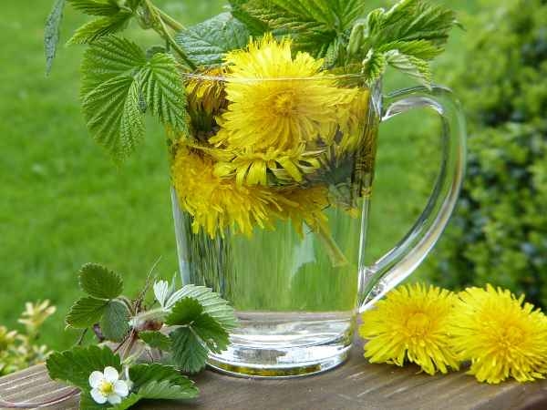 Dandelion Tea