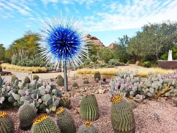 Desert Botanical Garden