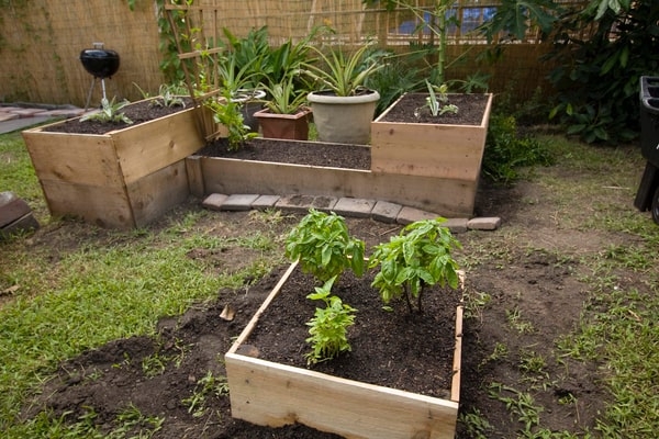different raised garden beds