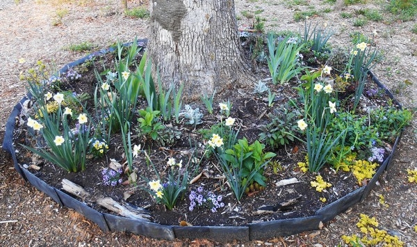 DIY Garden Edging Designs
