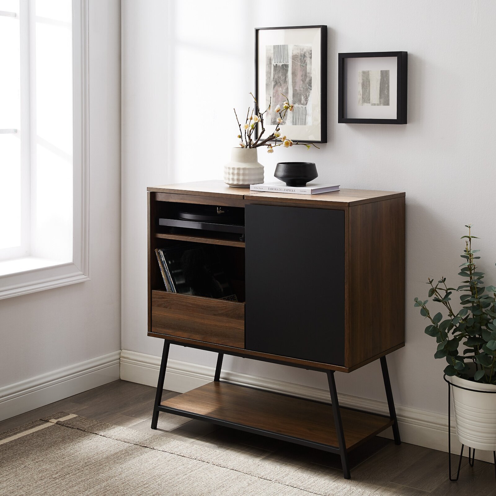 Door Accent Stereo Cabinet