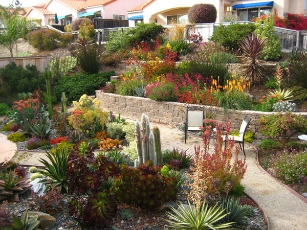 Drought Tolerant Gardening Design