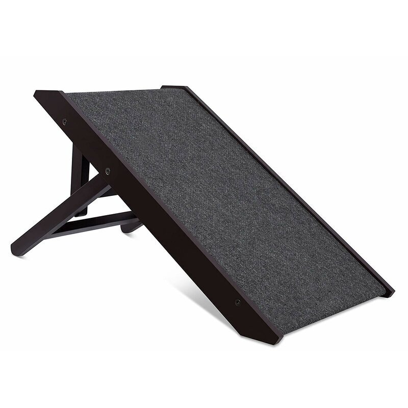 Durable Indoor/Outdoor Ramp for Giants