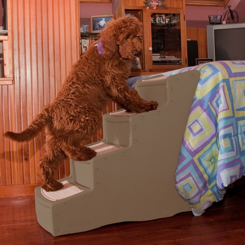 Easy Step IV 4 Step Pet Stair