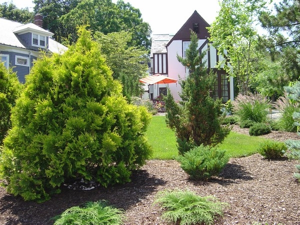 Evergreen Garden Design Ideas
