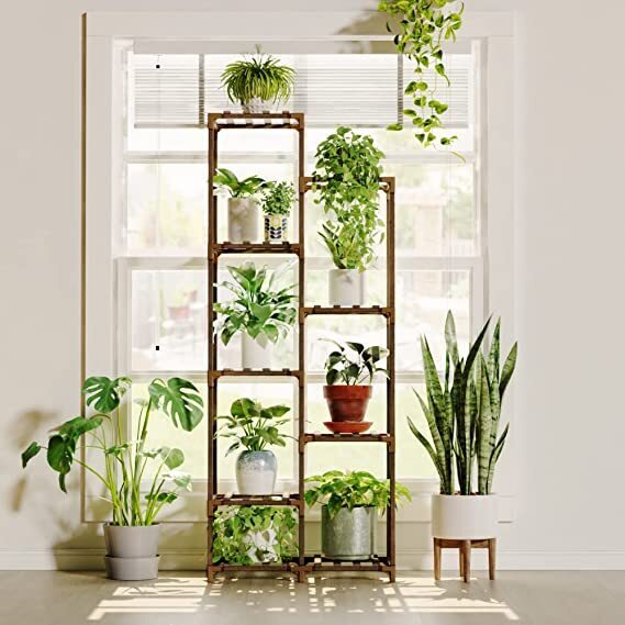 Extra tall indoor plant stand