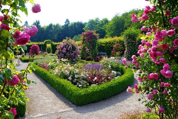 Flower Garden Designs