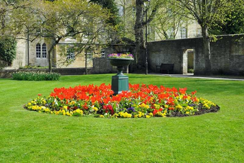 flower garden ideas