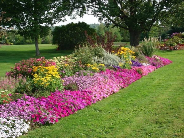 Flower Garden