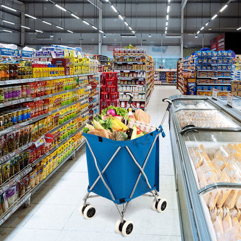 Foldable Shopping Cart With Removable Bag