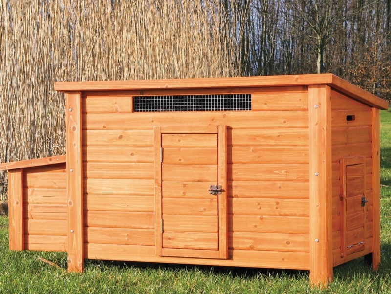 Freddy 13 Square Feet with Nesting Box